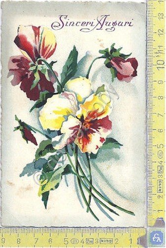Sinceri Auguri - Greetings - 1935 - Cartolina - Postcard