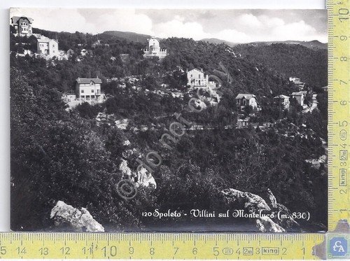 Spoleto - Villini sul Monteluco - NVG - Anni '60? | Immagine principale