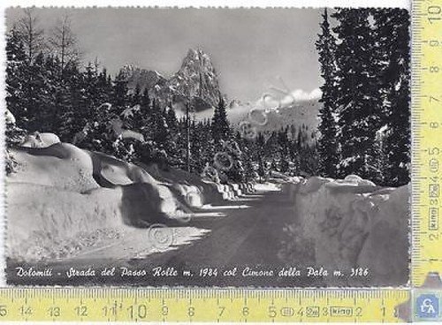 Strada del Passo Rolle con Cimone della Pala - 1955