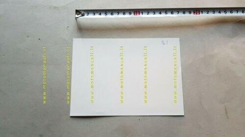 SWM 250 GP Velocità Prototipo 1981 foto cartella stampa originale