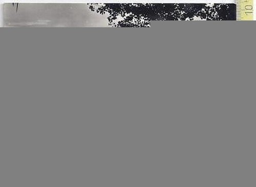 Terni - Lago di Piediluco con Barca - 1957