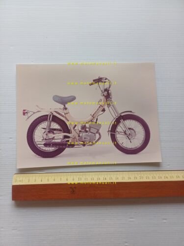 Testi 50 Jeans 1974 tubone foto cartella stampa originale