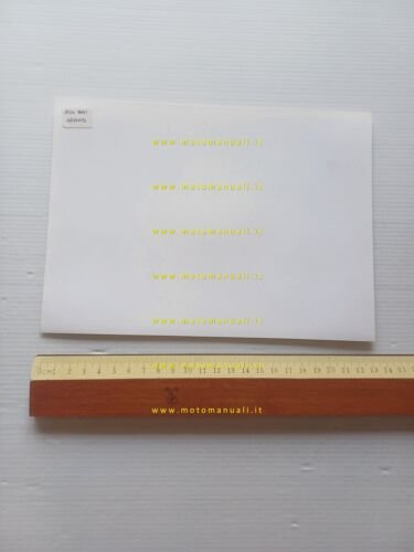 Testi 50 Jeans 1974 tubone foto cartella stampa originale