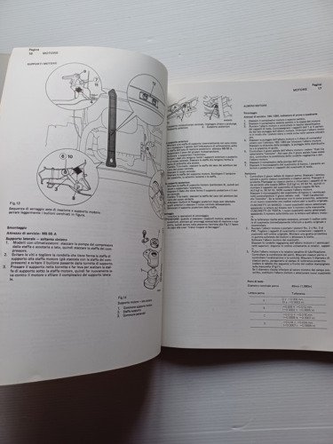 Triumph Acclaim 1981 manuale officina italiano originale