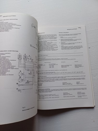 Triumph Acclaim 1981 manuale officina italiano originale