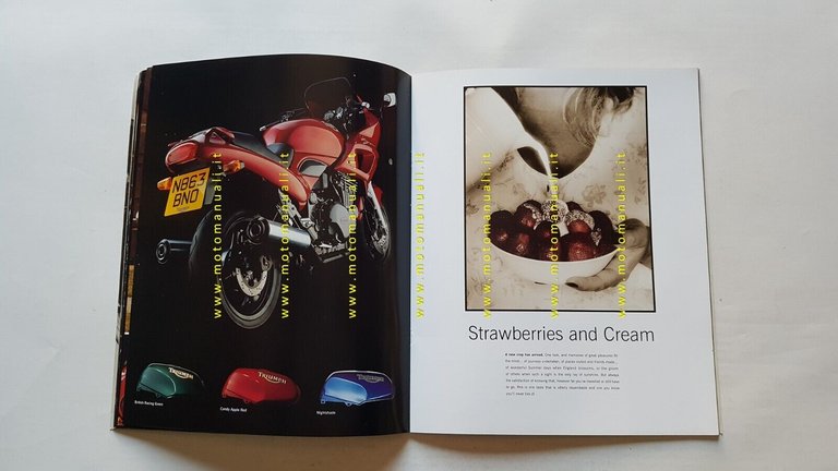 Triumph produzione 1995 depliant originale testo inglese