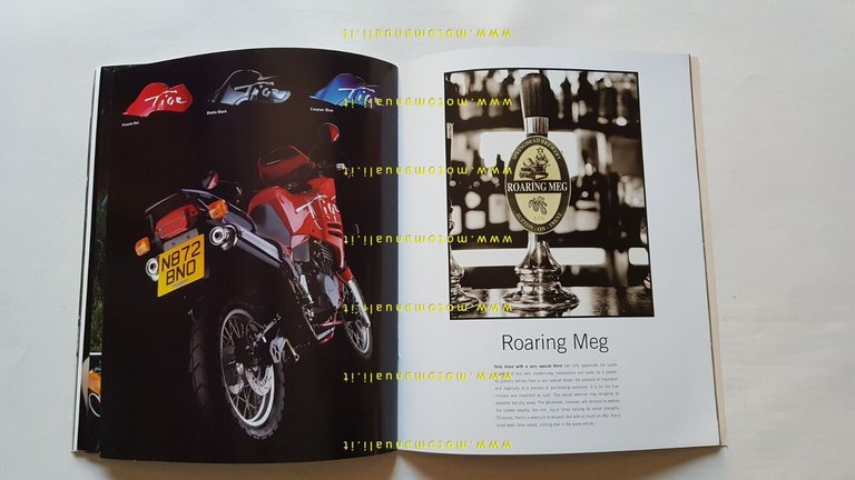 Triumph produzione 1995 depliant originale testo inglese