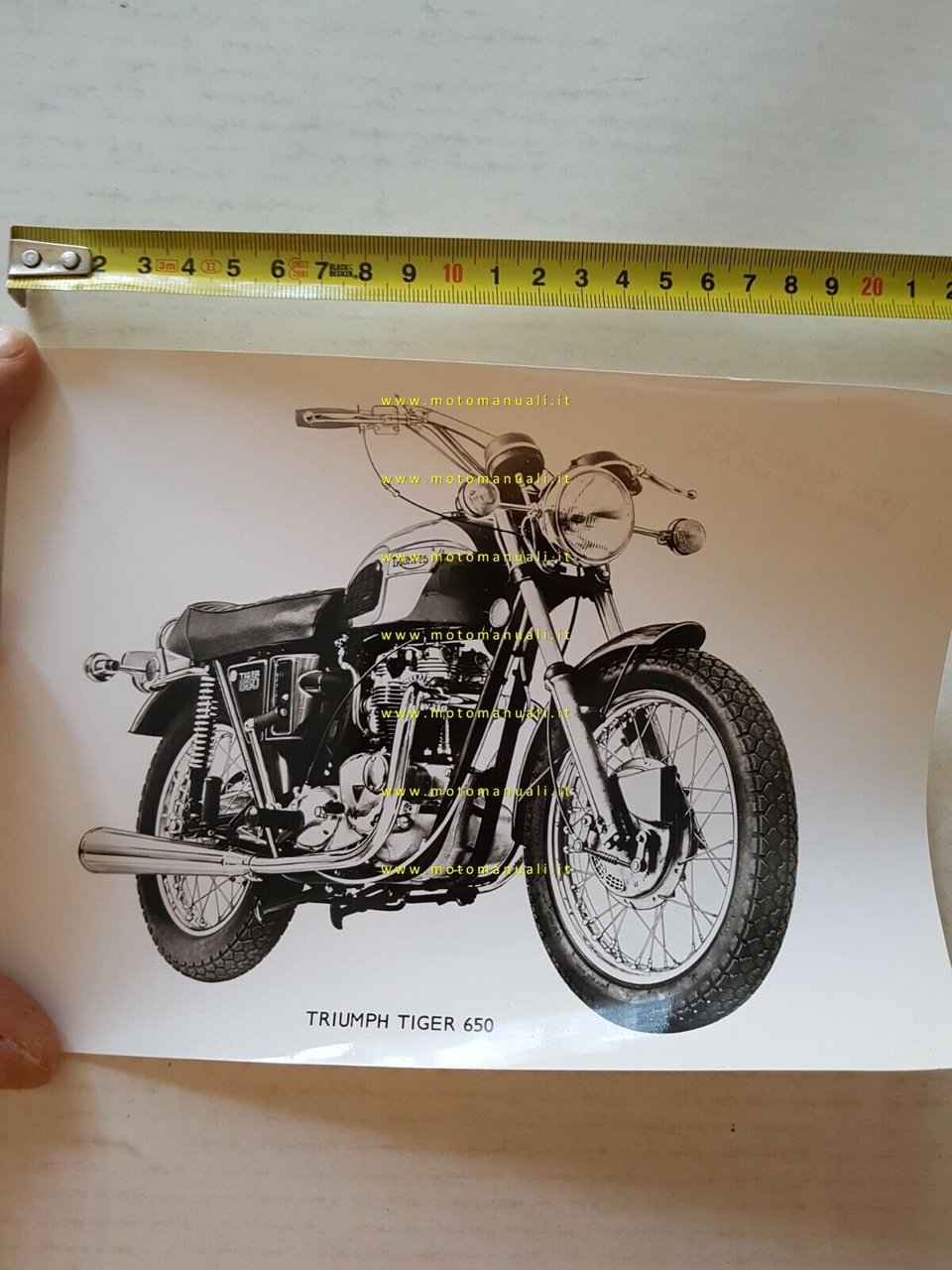 Triumph Tiger 650 1971 foto cartella stampa originale press photo