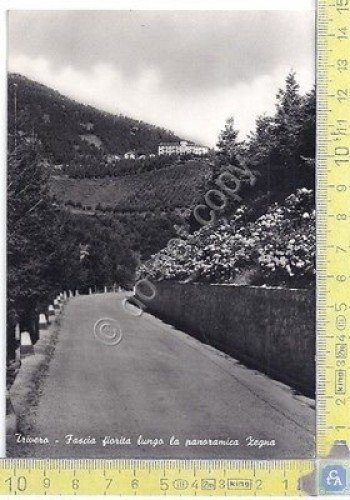 Trivero - Strada della Lana - Panoramica Zegna - Fotografo … | Immagine principale