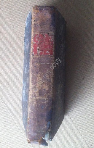 Vincenzo Rachetti - La Scienza ella prosperità fisica delle Nazioni … | Immagine Gallery 3