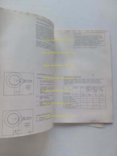 Volkswagen Passat modelli 1987 manuale officina cambio 5 M trazione …