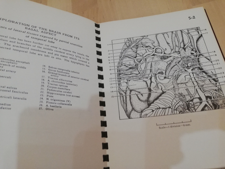 A stereoscopic atlas of human anatomy, D. Bassett, 1 - …