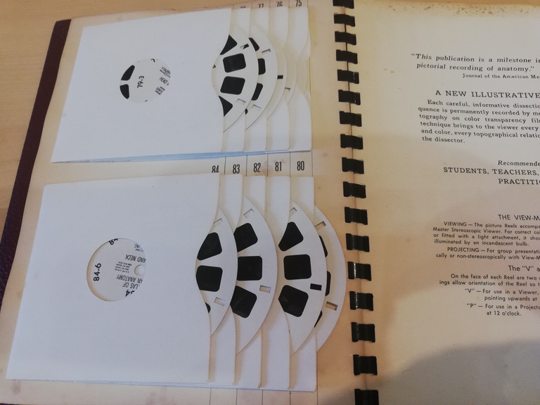 A stereoscopic atlas of human anatomy, D. Bassett, 75 - …