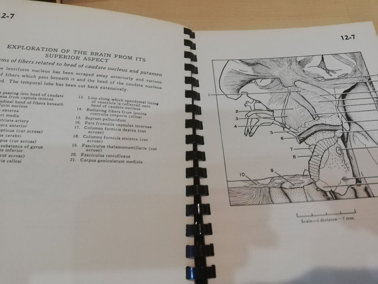 A stereoscopic atlas of human anatomy, D. Bassett, 9 - …