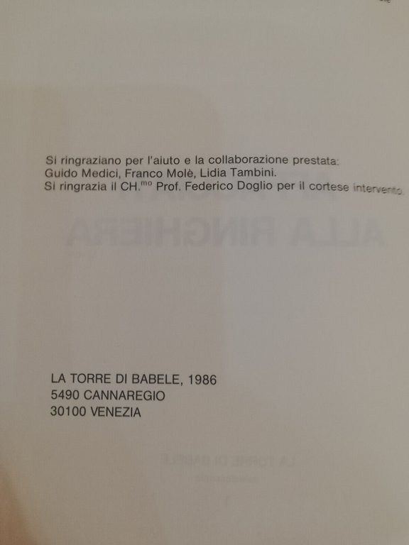 Affacciati alla ringhiera, Donatella Tambini, La torre di Babele, 1986