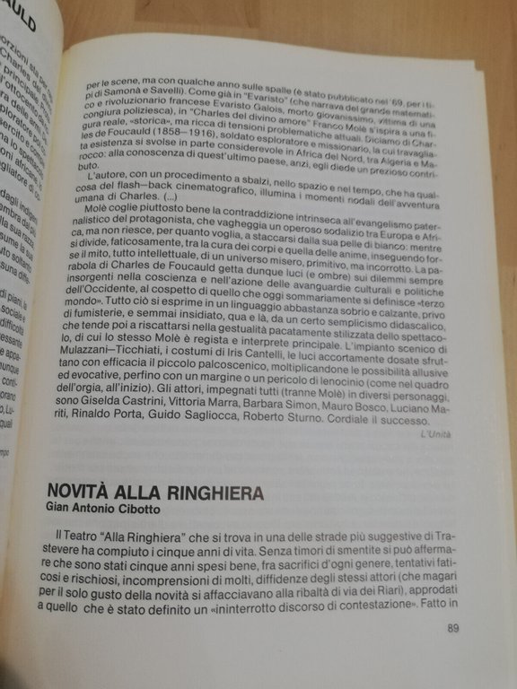 Affacciati alla ringhiera, Donatella Tambini, La torre di Babele, 1986