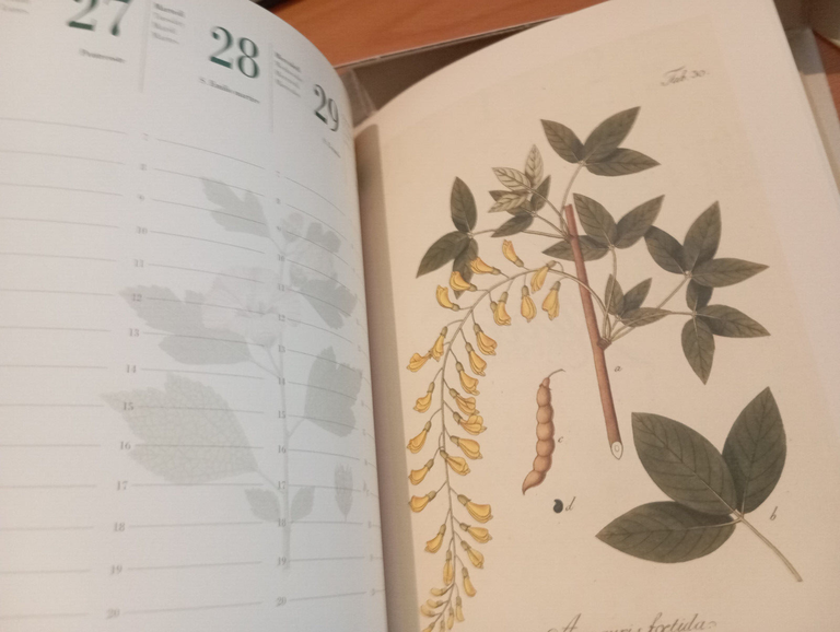 Agenda Aboca 2013, bellissime riproduizioni, per collezionisiti | Immagine Gallery 8