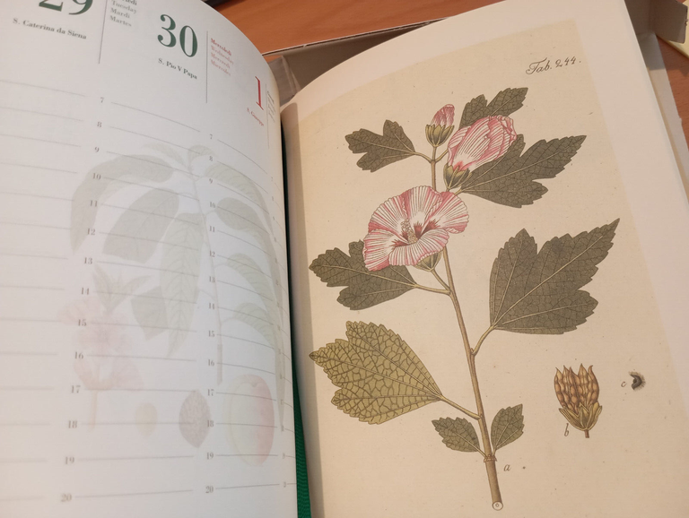 Agenda Aboca 2013, bellissime riproduizioni, per collezionisiti | Immagine Gallery 13