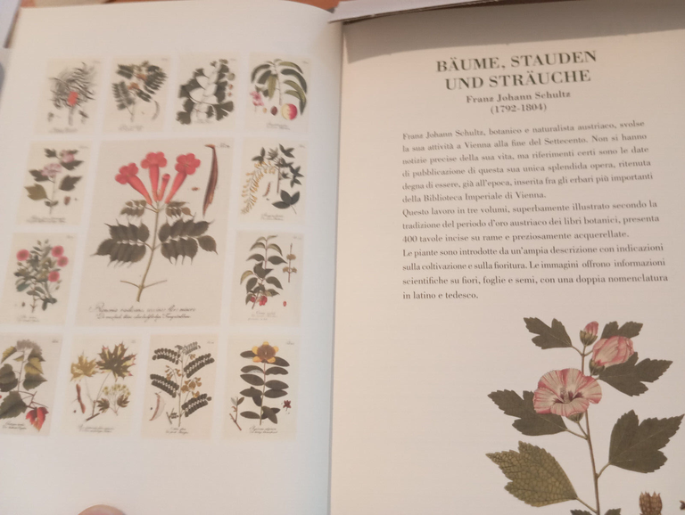 Agenda Aboca 2013, bellissime riproduizioni, per collezionisiti | Immagine Gallery 17