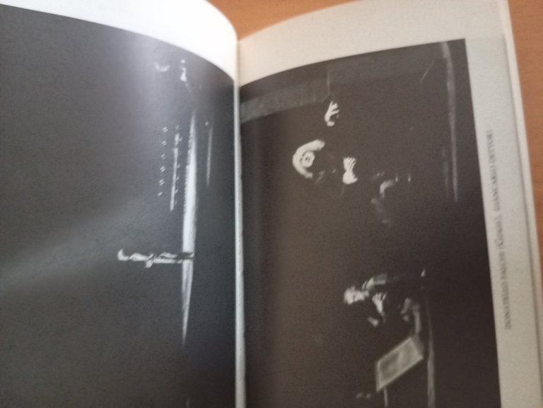 Al pappagallo verde - La contessina Mizzi, Arthur Schnitzler, Teatro … | Immagine Gallery 15