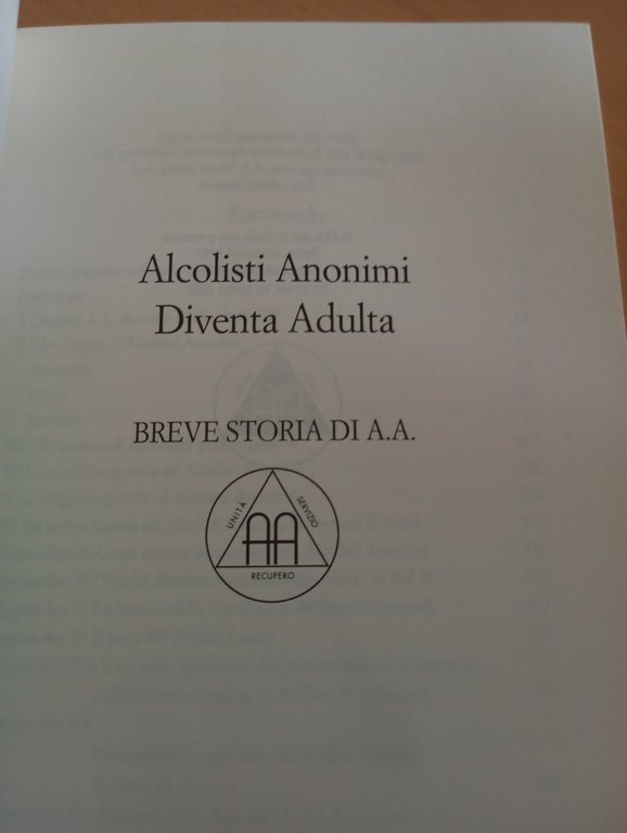 Alcolisti anonimi diventa adulta, Breve storia di A.A., 2008