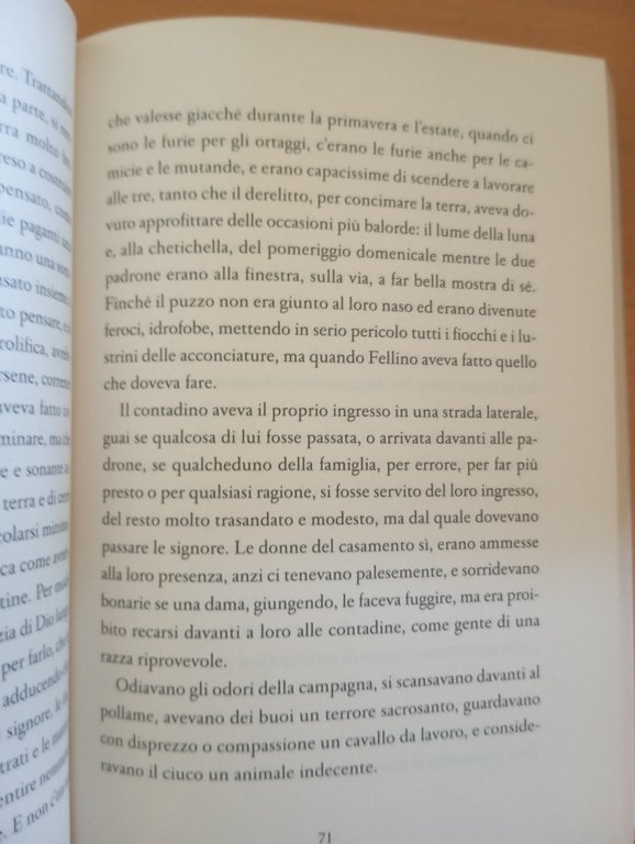 Aldo Palazzeschi, Sorelle Materassi, Mondadori, collana 900 italiano, 2014 | Immagine Gallery 7