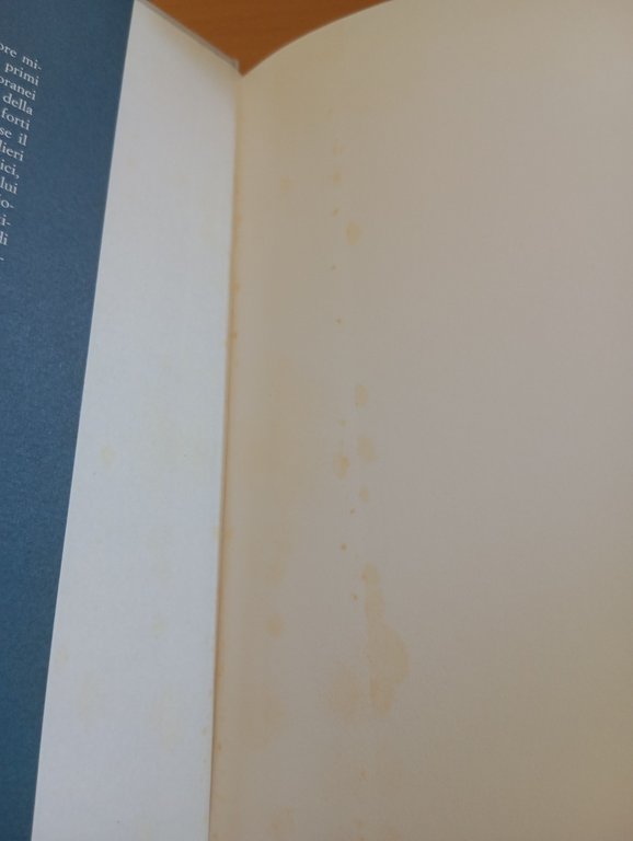 Alessandro Nevski, Catherine Durand-Cheynet, Salerno Editrice, 1987 nuovo | Immagine Gallery 8