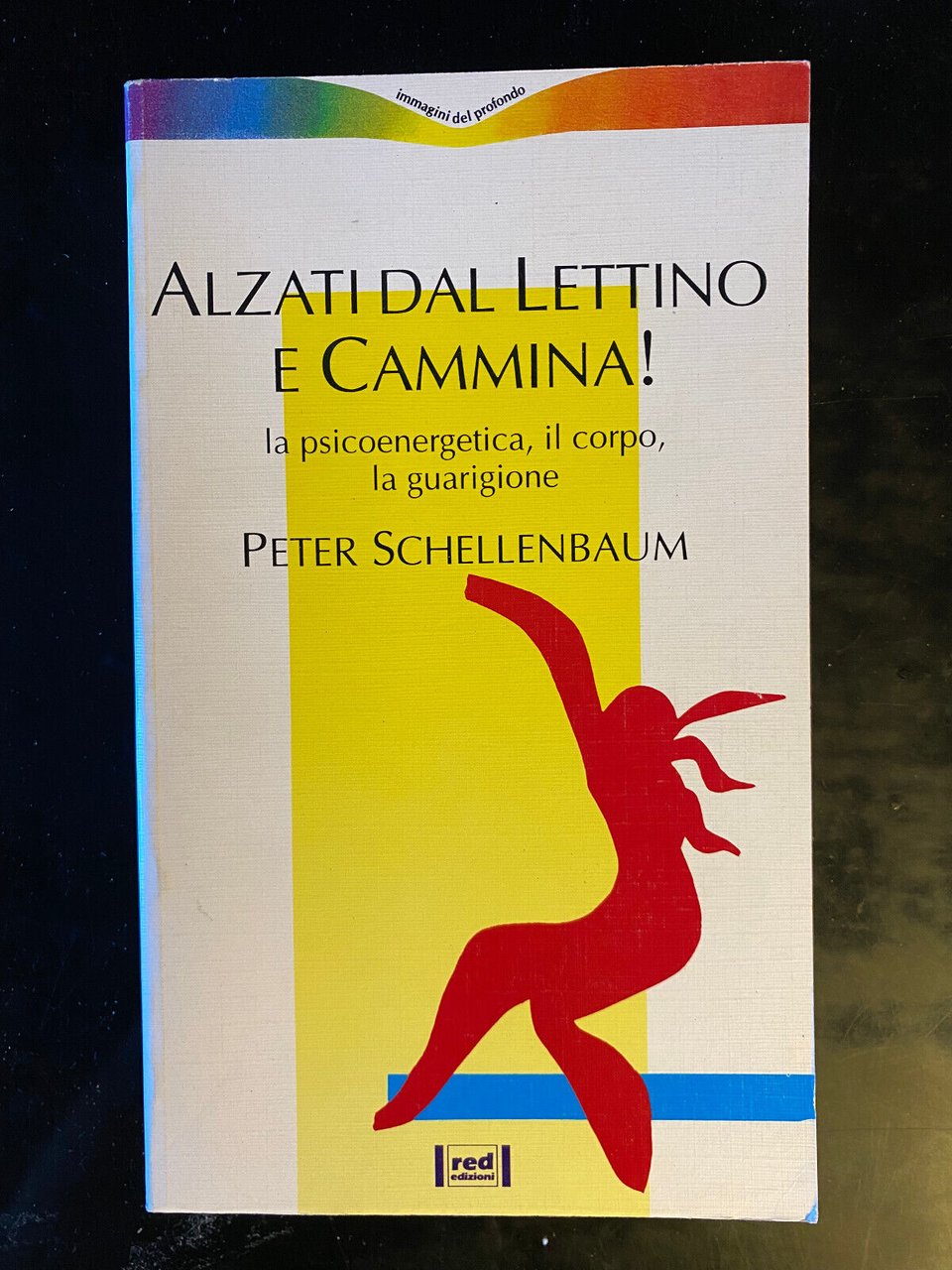 Alzati dal lettino e cammina!, Peter Schellenbaum RED, 1995