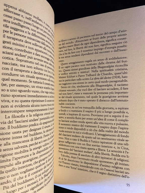 Alzati dal lettino e cammina!, Peter Schellenbaum RED, 1995