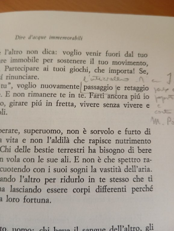 Amante marina. Friedrich Nietzsche, Luce irigaray, Feltrinelli, 1982