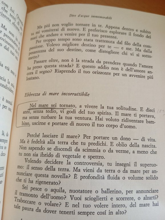 Amante marina. Friedrich Nietzsche, Luce irigaray, Feltrinelli, 1982