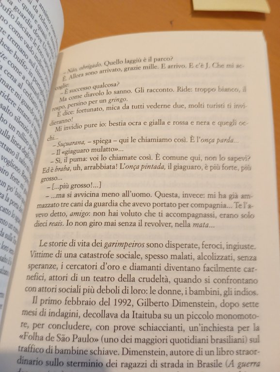 Amazzonia. Yurij Castelfranchi, Laterza, 2004 | Immagine Gallery 15