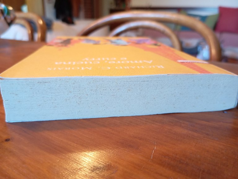 Amore, cucina e curry, Richard C. Morais, Neri Pozzza, 2014