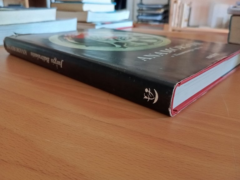 Anamorfosi o Thaumaturgus opticus, Jurgis Baltrusaitis, Adelphi, 1990 | Immagine Gallery 4