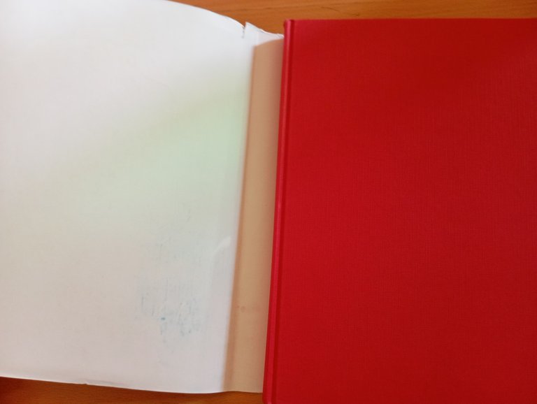 Anamorfosi o Thaumaturgus opticus, Jurgis Baltrusaitis, Adelphi, 1990 | Immagine Gallery 7