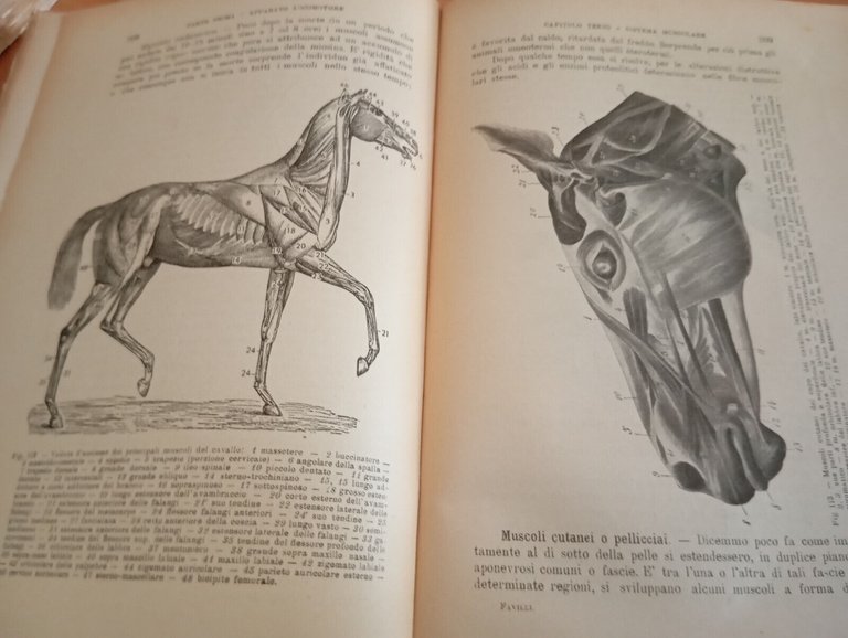 Anatomia e fisiologia degli animali agricoli, Vallardi, 1943, per collezionisti