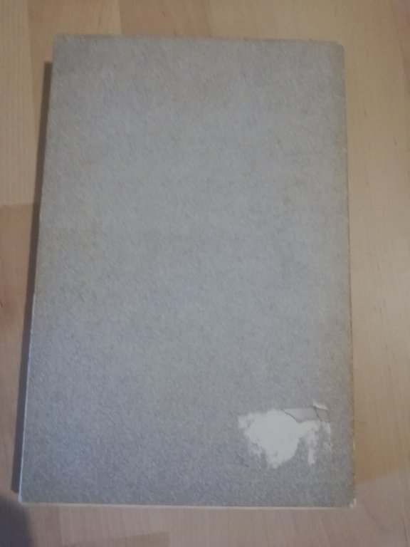 Angelo, Dario Bellezza, 1979, Garzanti