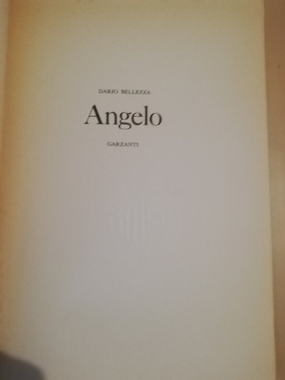 Angelo, Dario Bellezza, 1979, Garzanti