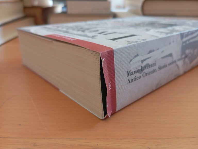 Antico Oriente. Storia società economia, Mario Liverani, Laterza, 2009 | Immagine Gallery 2
