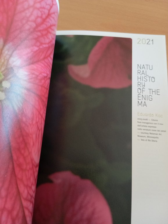 Antroposfera. Nuove forme della vita, 2010