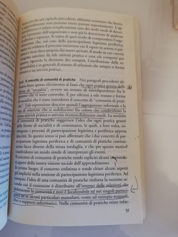 Apprendimento e conoscenza nelle organizzazioni, S. Gherardi, D. Nicolini, 2005