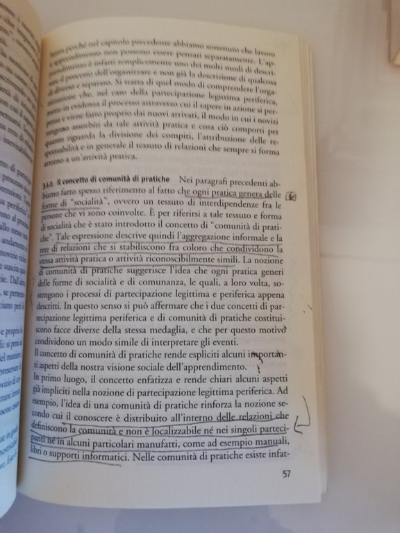 Apprendimento e conoscenza nelle organizzazioni, S. Gherardi, D. Nicolini, 2005