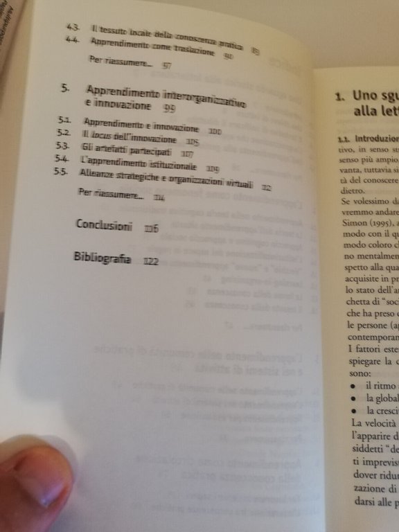 Apprendimento e conoscenza nelle organizzazioni, S. Gherardi, D. Nicolini, 2005