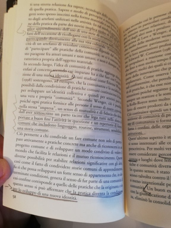 Apprendimento e conoscenza nelle organizzazioni, S. Gherardi, D. Nicolini, 2005