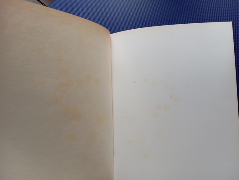 Arduino Agelucci, Catalogo Monografico Provincia di rieti, 1979