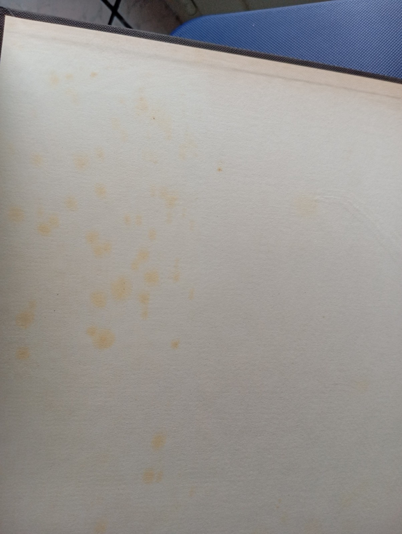 Arduino Agelucci, Catalogo Monografico Rovincia di rieti, 1979