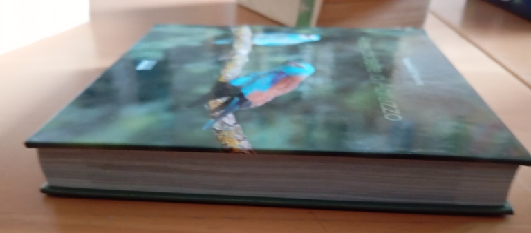 Aree protette d'Abruzzo, Fernando Di Fabrizio, 2011