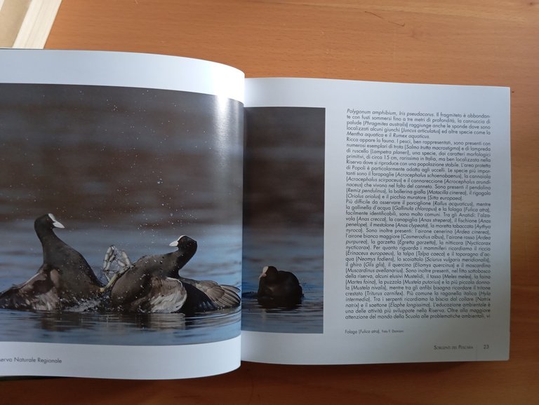 Aree protette d'Abruzzo, Fernando Di Fabrizio, 2011