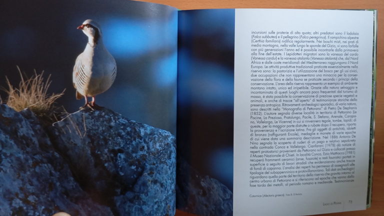 Aree protette d'Abruzzo, Fernando Di Fabrizio, 2011