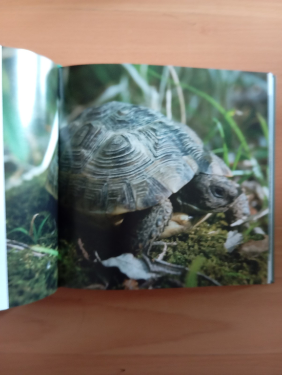 Aree protette d'Abruzzo, Fernando Di Fabrizio, 2011